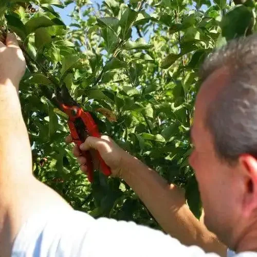 comment-entretenir-votre-maison-ete